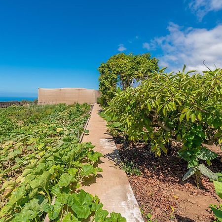 Casa Rural Finca Las Dulces Chío المظهر الخارجي الصورة