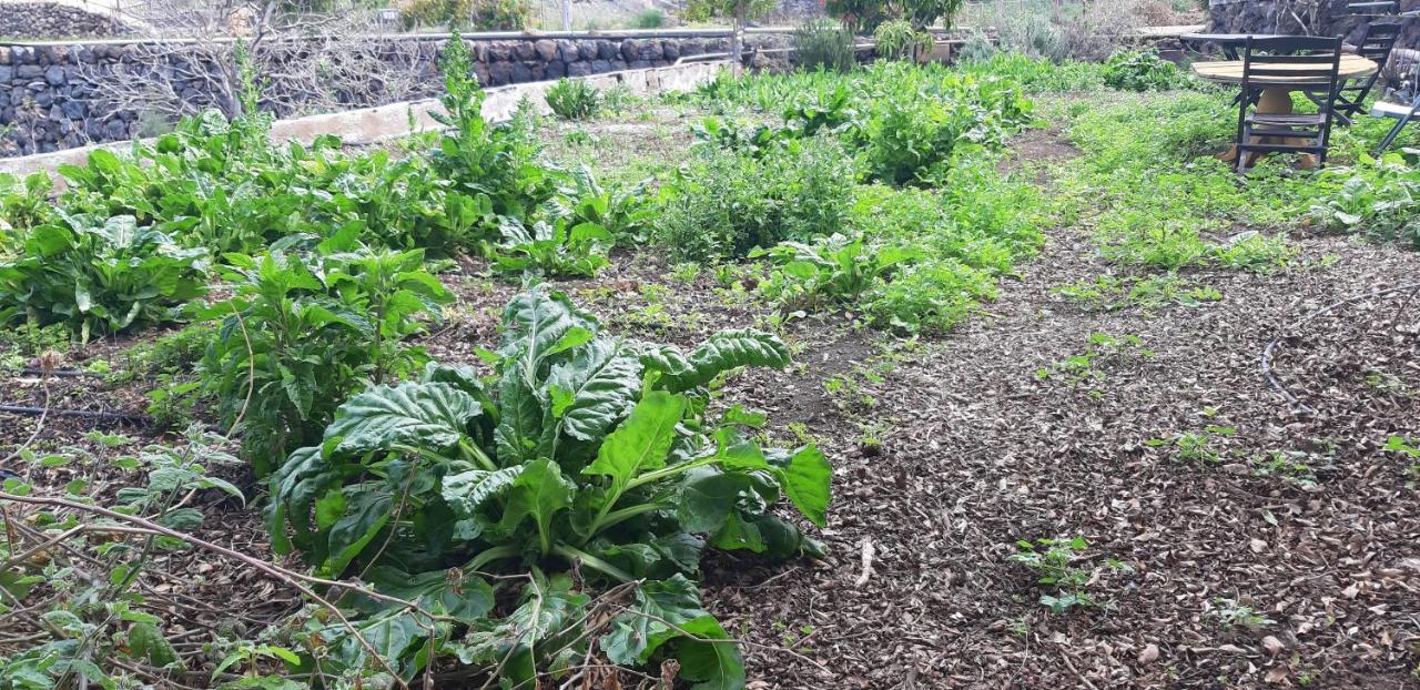 Casa Rural Finca Las Dulces Chío المظهر الخارجي الصورة