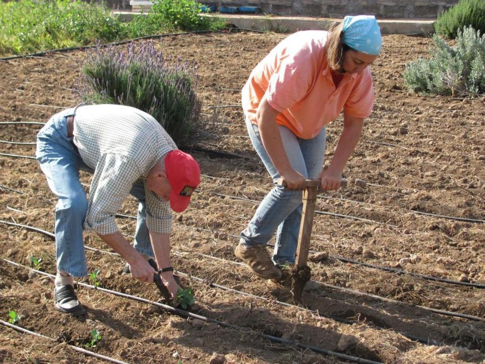 Casa Rural Finca Las Dulces Chío المظهر الخارجي الصورة