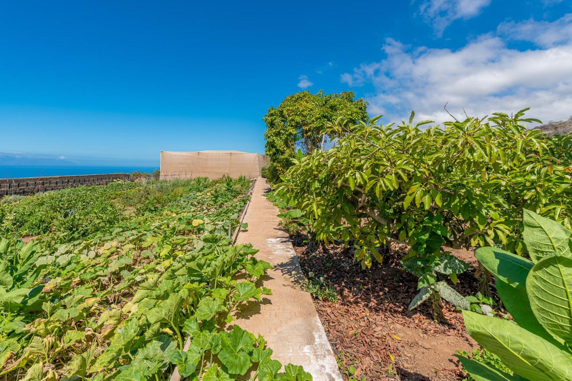 Casa Rural Finca Las Dulces Chío المظهر الخارجي الصورة